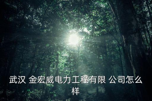 深圳市金宏威技術有限責任公司
