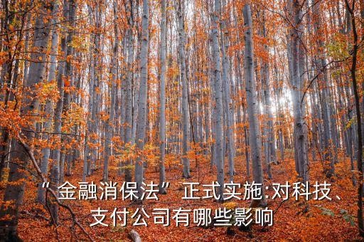“ 金融消保法”正式實施:對科技、支付公司有哪些影響