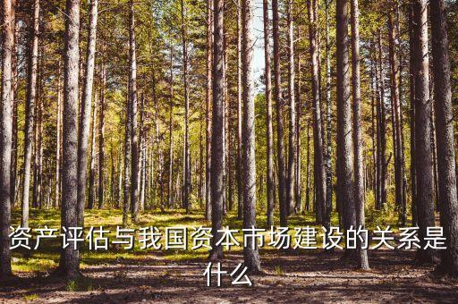 資產(chǎn)評(píng)估與我國(guó)資本市場(chǎng)建設(shè)的關(guān)系是什么