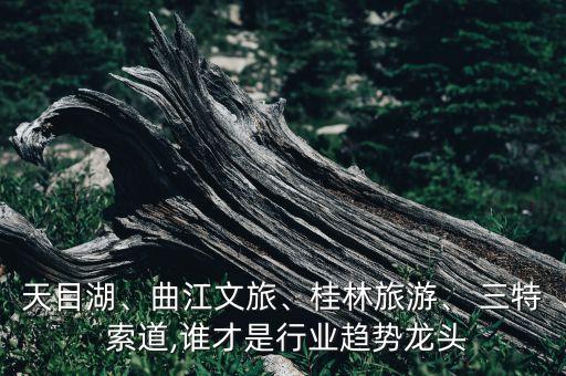 天目湖、曲江文旅、桂林旅游、 三特 索道,誰才是行業(yè)趨勢(shì)龍頭