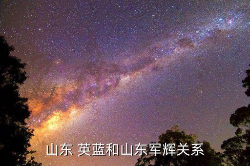 英藍(lán)集團董事長簡歷,山西道藍(lán)集團董事長簡歷