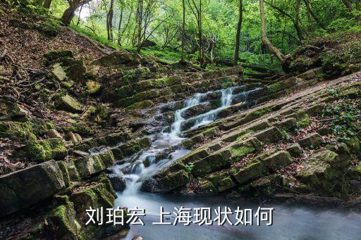 劉珀宏 上?，F(xiàn)狀如何