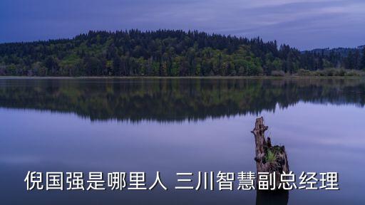 倪國(guó)強(qiáng)是哪里人 三川智慧副總經(jīng)理