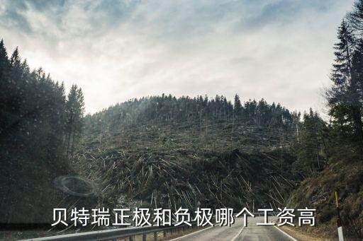  貝特瑞正極和負(fù)極哪個工資高
