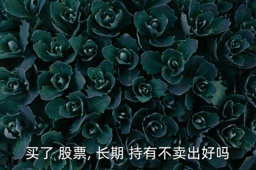 買了 股票, 長(zhǎng)期 持有不賣出好嗎