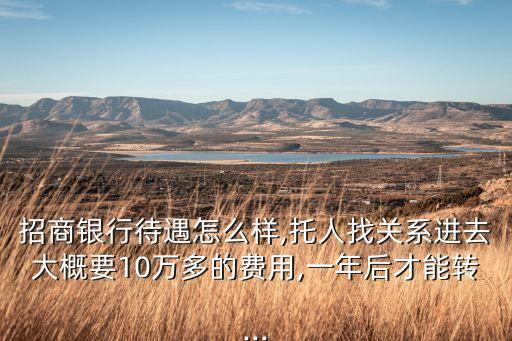 招商銀行待遇怎么樣,托人找關(guān)系進(jìn)去大概要10萬多的費用,一年后才能轉(zhuǎn)...