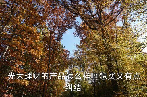  光大理財?shù)漠a(chǎn)品怎么樣啊想買又有點糾結
