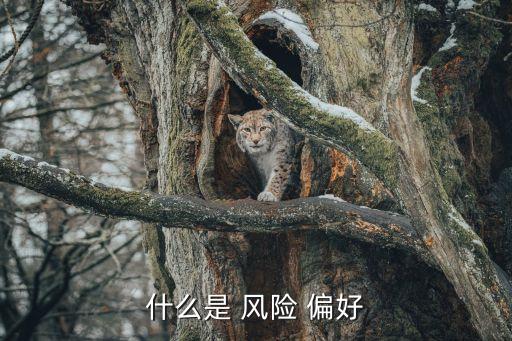 投資者風險偏好的五大分類,風險偏好是為了實現目標投資者