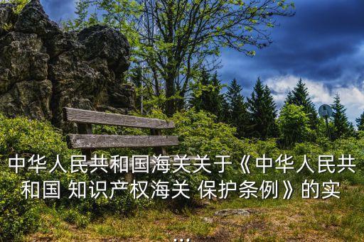 中華人民共和國海關(guān)關(guān)于《中華人民共和國 知識(shí)產(chǎn)權(quán)海關(guān) 保護(hù)條例》的實(shí)...