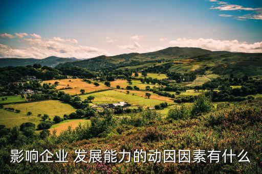 影響企業(yè) 發(fā)展能力的動(dòng)因因素有什么