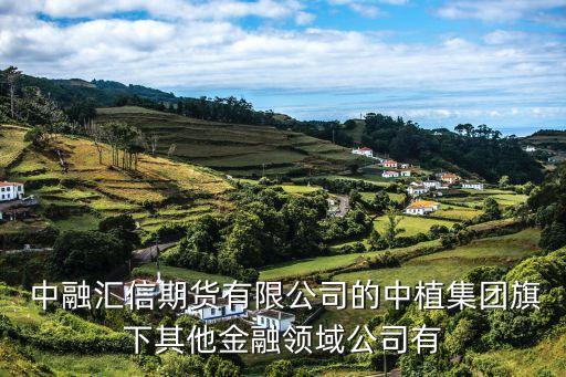  中融匯信期貨有限公司的中植集團(tuán)旗下其他金融領(lǐng)域公司有