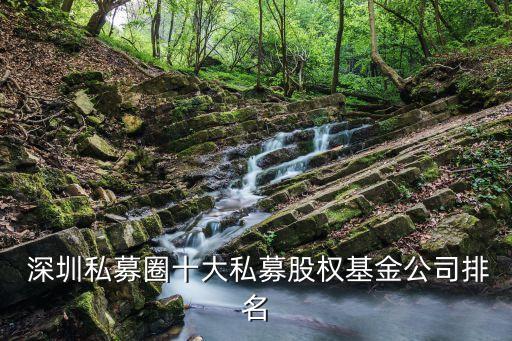  深圳私募圈十大私募股權基金公司排名