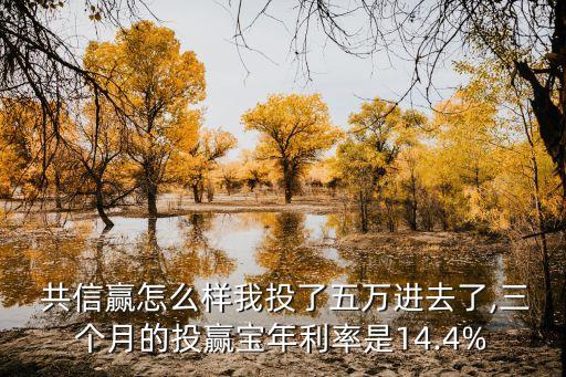  共信贏怎么樣我投了五萬(wàn)進(jìn)去了,三個(gè)月的投贏寶年利率是14.4%