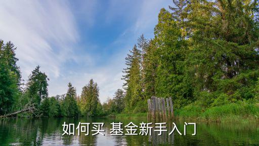 如何買(mǎi) 基金新手入門(mén)