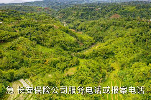 急 長安保險公司服務電話或報案電話