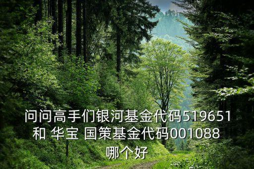 問問高手們銀河基金代碼519651和 華寶 國策基金代碼001088哪個(gè)好