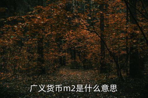 中國貨幣量統計口徑,貨幣統計口徑劃分的意義