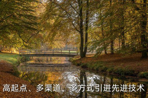 高起點(diǎn)、多渠道、多方式引進(jìn)先進(jìn)技術(shù)