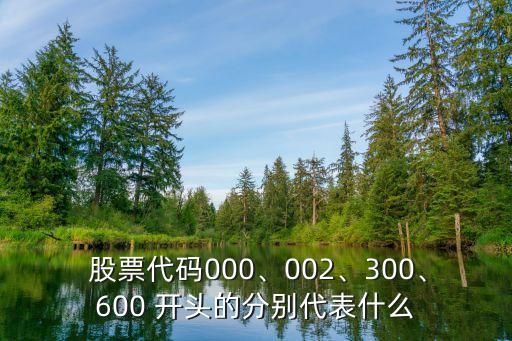  股票代碼000、002、300、600 開(kāi)頭的分別代表什么