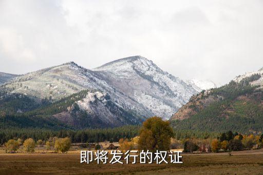 即將發(fā)行的權證