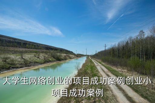 大學生網絡創(chuàng)業(yè)的項目成功案例創(chuàng)業(yè)小項目成功案例