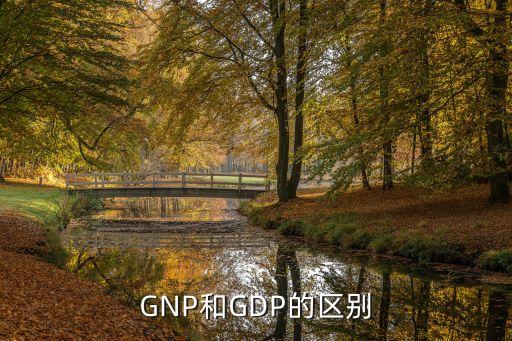 中國gnp和gdp,中國GNP和GDP哪個(gè)大2022