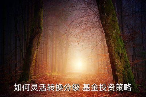 如何靈活轉(zhuǎn)換分級(jí) 基金投資策略