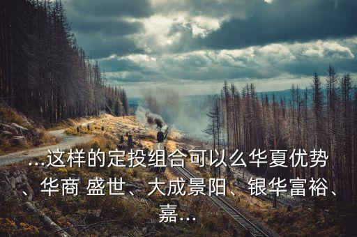 ...這樣的定投組合可以么華夏優(yōu)勢(shì)、華商 盛世、大成景陽(yáng)、銀華富裕、嘉...