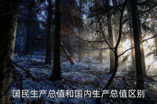 國民生產總值和國內生產總值區(qū)別