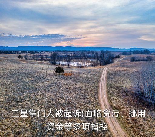  三星掌門人被起訴(面臨貪污、挪用資金等多項指控