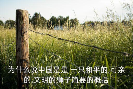 為什么說中國(guó)是是 一只和平的,可親的,文明的獅子簡(jiǎn)要的概括