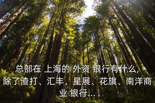 總部在 上海的 外資 銀行有什么,除了渣打、匯豐、星展、花旗、南洋商業(yè) 銀行...