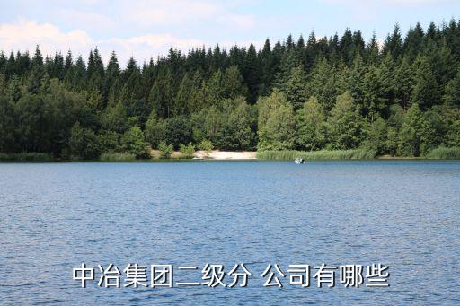 中冶集團(tuán)二級(jí)分 公司有哪些
