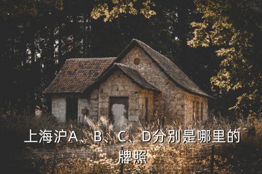  上海滬A、B、C、D分別是哪里的 牌照