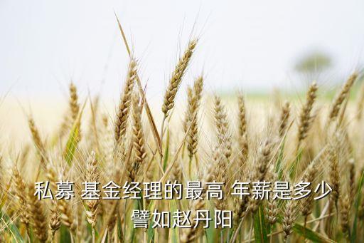 私募基金風控總監(jiān)年薪