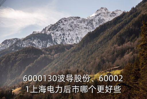 6000130波導(dǎo)股份、600021上海電力后市哪個更好些
