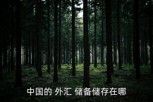 中國(guó)的 外匯 儲(chǔ)備儲(chǔ)存在哪