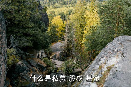上海觀(guān)臻股權(quán)投資基金,上海富盎得股權(quán)投資基金最新情況