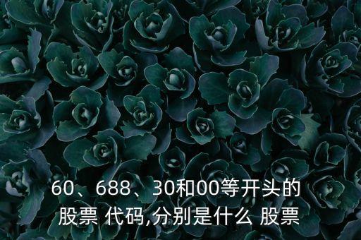 60、688、30和00等開頭的 股票 代碼,分別是什么 股票