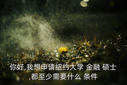 你好,我想申請紐約大學 金融 碩士,都至少需要什么 條件