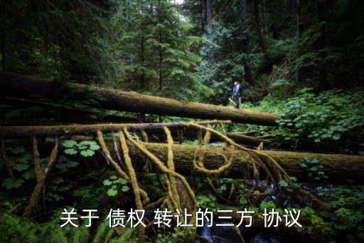 關于 債權 轉讓的三方 協議
