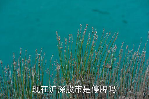 目前滬深A(yù)服有多少只股票停盤(pán)