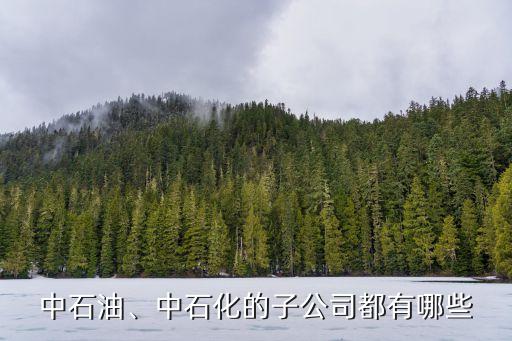 中石油、中石化的子公司都有哪些