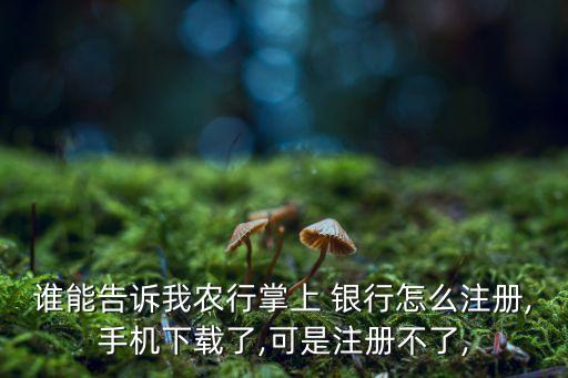 誰能告訴我農(nóng)行掌上 銀行怎么注冊,手機(jī)下載了,可是注冊不了,