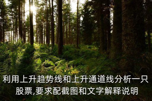 利用上升趨勢(shì)線和上升通道線分析一只 股票,要求配截圖和文字解釋說明