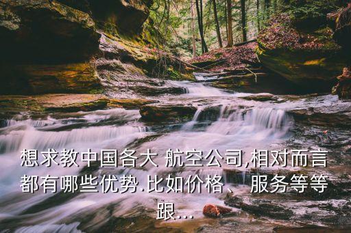 想求教中國各大 航空公司,相對(duì)而言都有哪些優(yōu)勢(shì).比如價(jià)格、 服務(wù)等等跟...