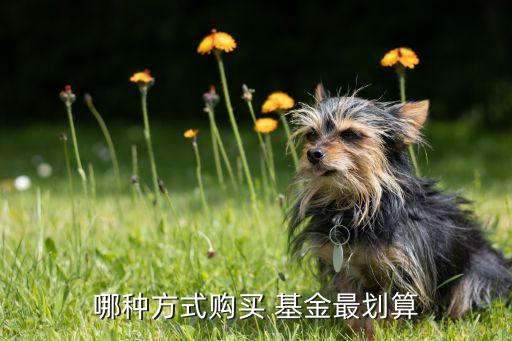 哪種方式購(gòu)買(mǎi) 基金最劃算