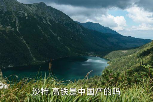 海外高鐵投資,中國高鐵在海外成功的項(xiàng)目