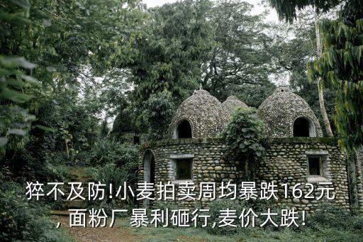 猝不及防!小麥拍賣周均暴跌162元, 面粉廠暴利砸行,麥價(jià)大跌!