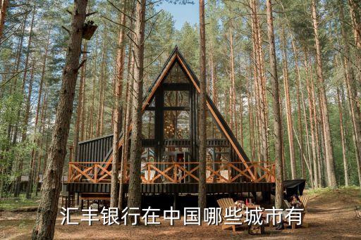 內地匯豐銀行,中信銀行好不好